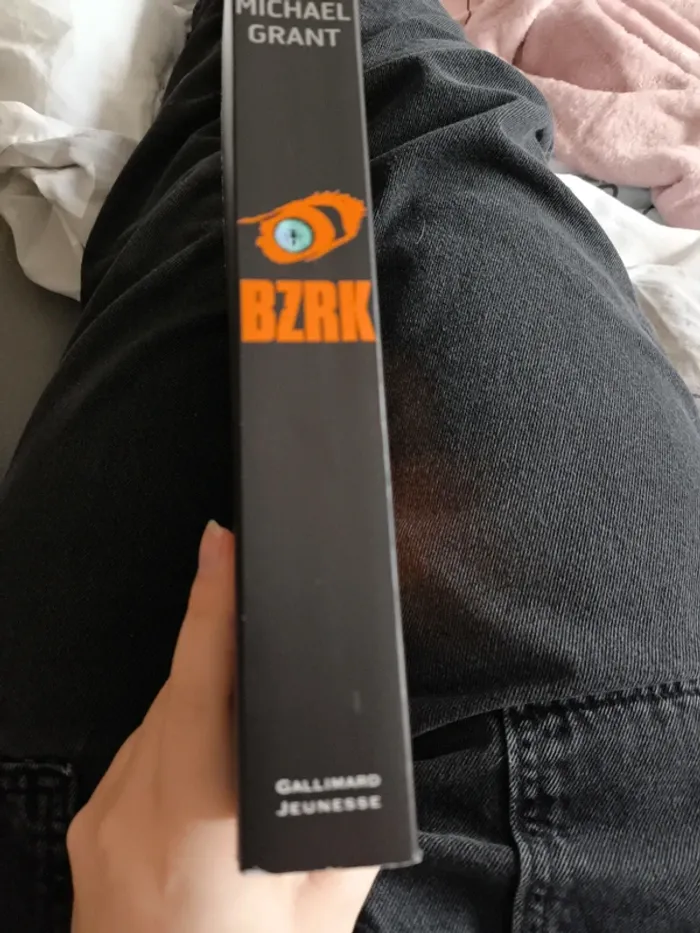 Livre bzrk - photo numéro 2