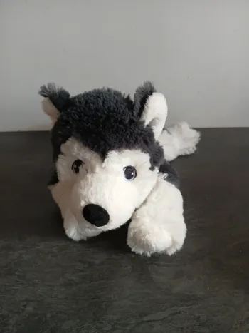 Husky
