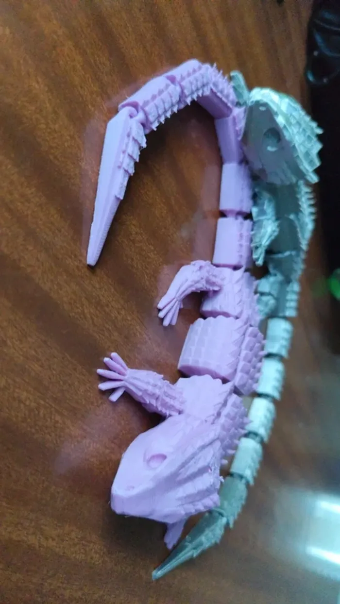 Gecko - photo numéro 2