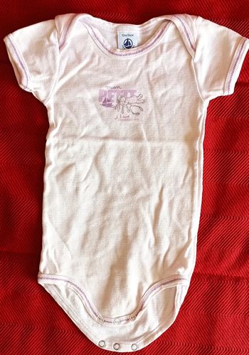 Lot 3 bodys petit bateau 12 mois