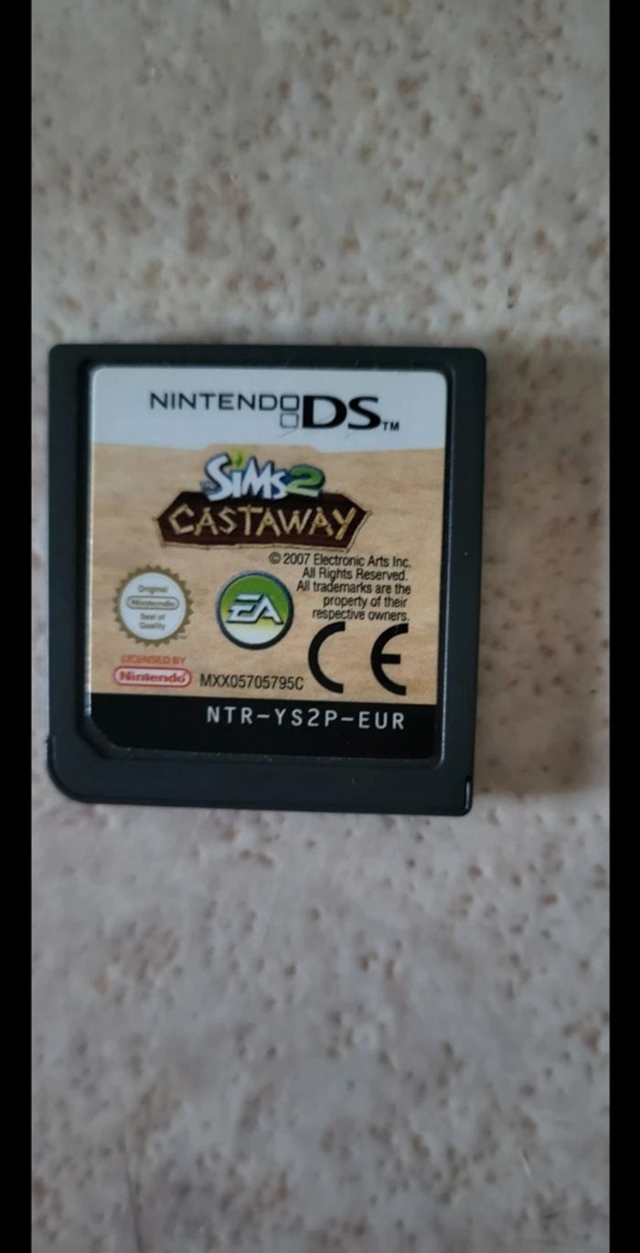 Jeu DS les SIMS