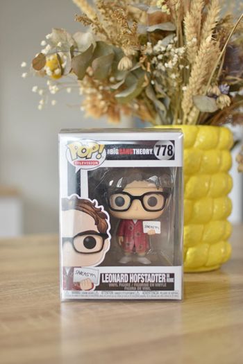Figurine Pop Leonard Hofstader
