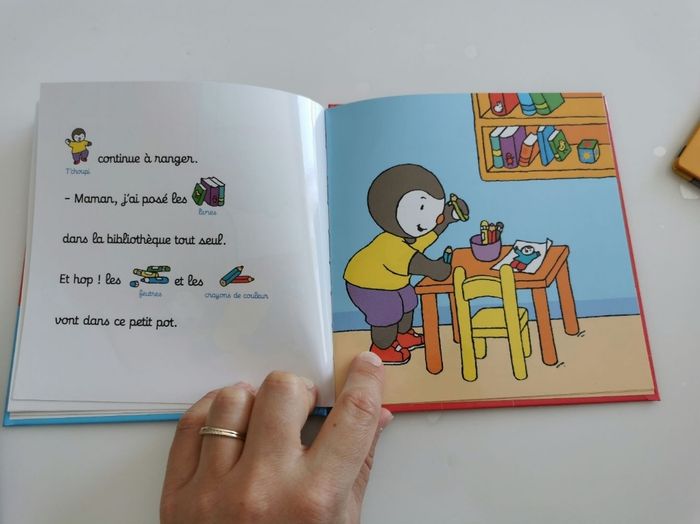 Lot livres T'choupi neufs - photo numéro 6