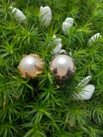 Petite et belle boucles d'oreilles à clip boutique chic dorées et blanche