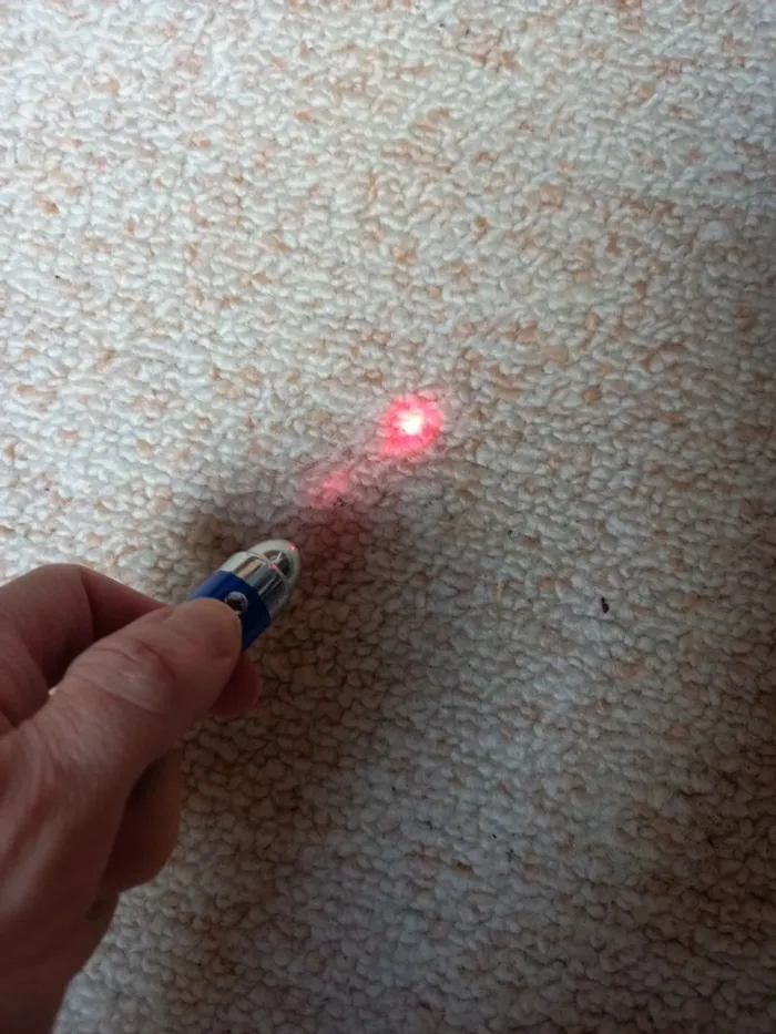 Porte clé laser - photo numéro 2