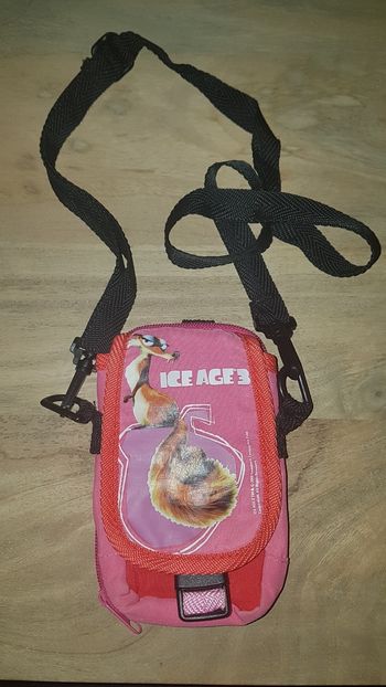 Pochette de rangement DS