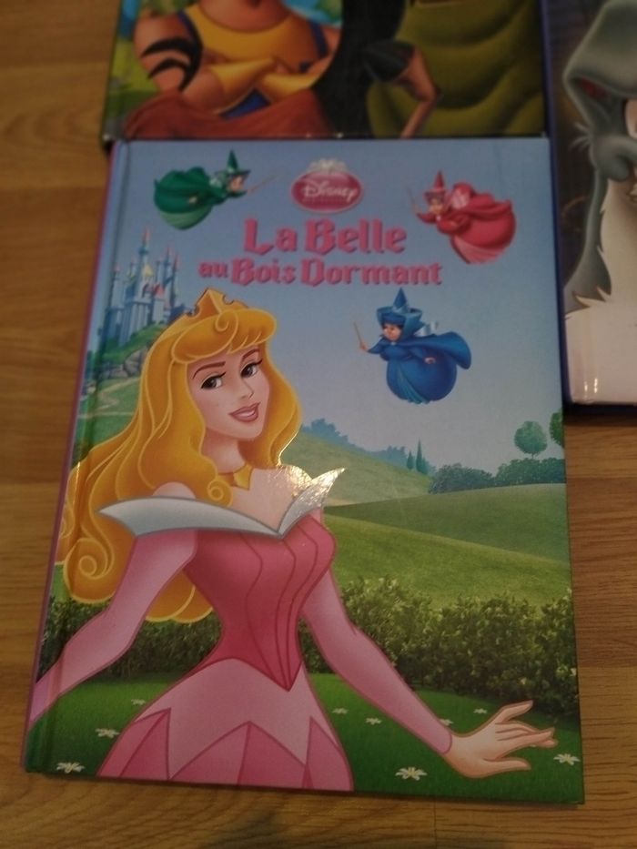 Lot Livres enfant Disney - photo numéro 2