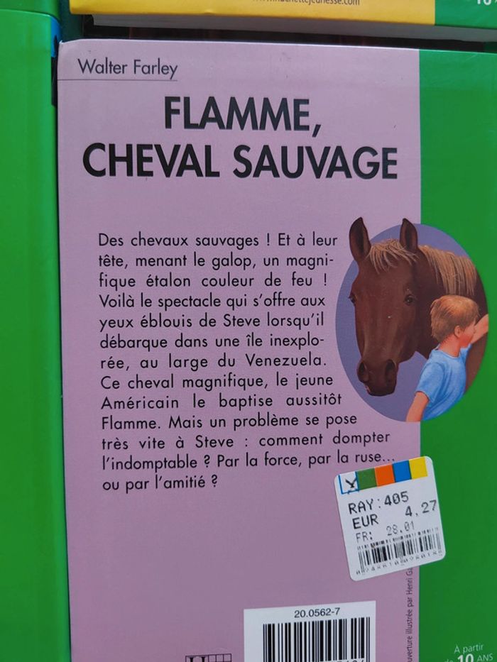 Lot de 7 livres l'étalon noir - photo numéro 11
