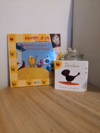 🌺Livre Bientôt je lis Albert le poussin qui fait tout de travers🌺