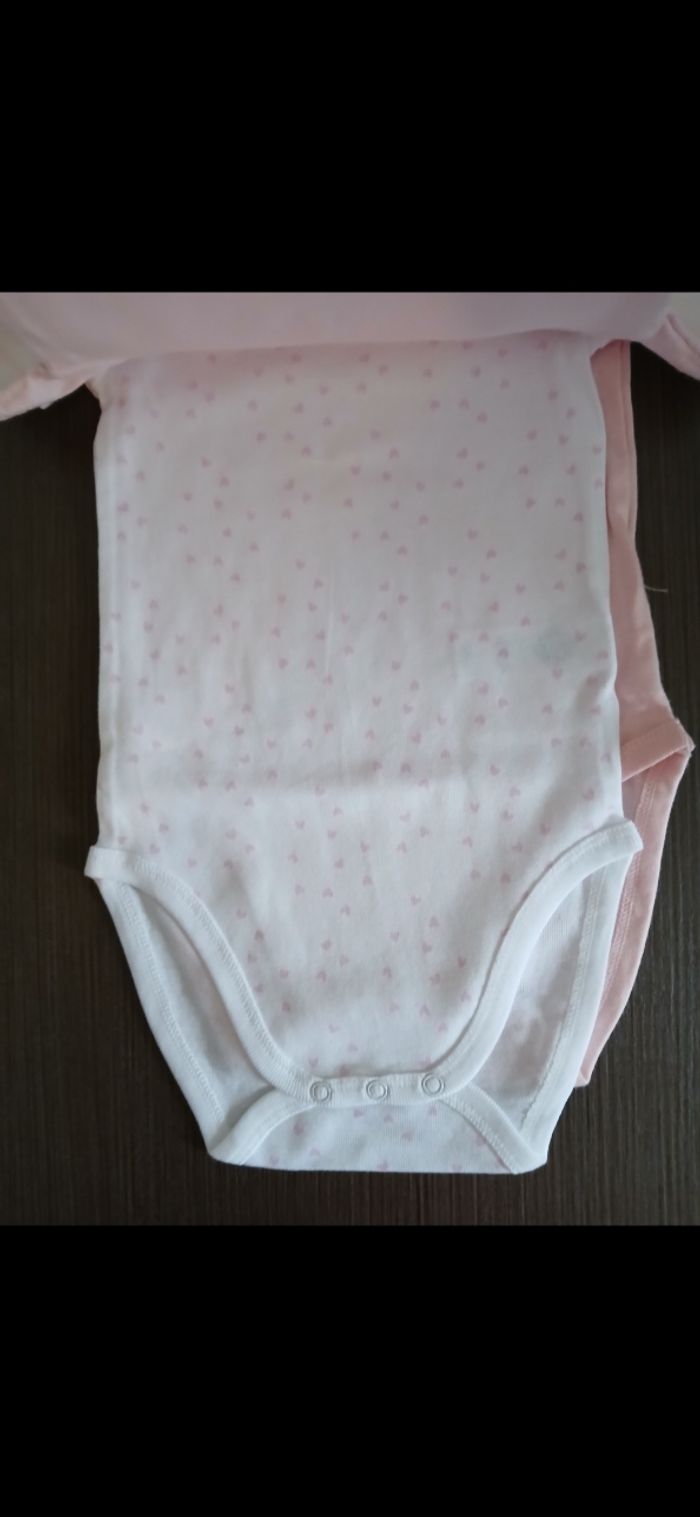 Lot de trois bodies koalas manches courtes fille 23 mois - photo numéro 2
