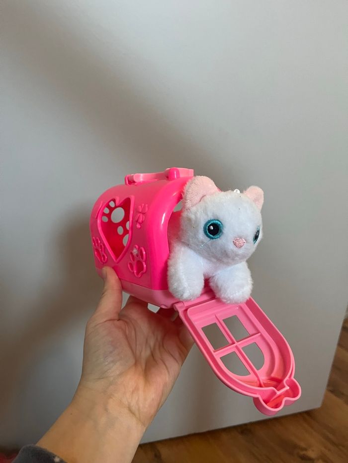 Petit chat - photo numéro 2