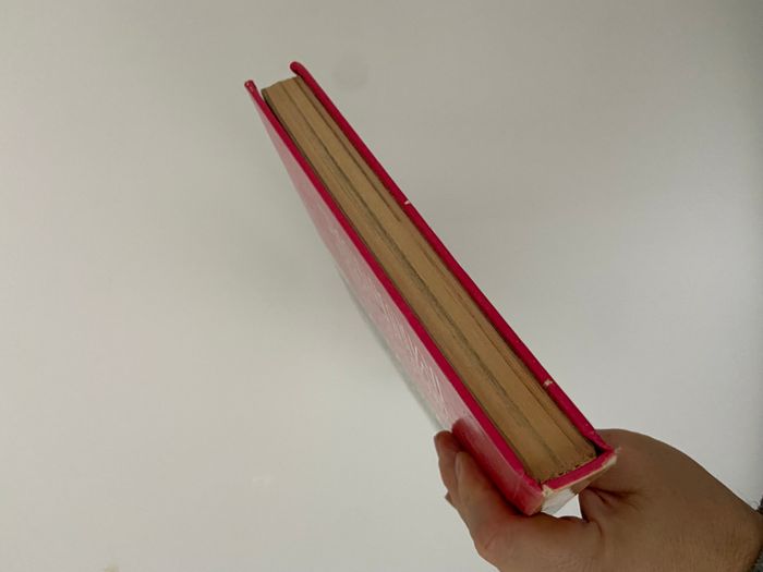 livre disney le monde enchanté histoires du nouveau monde - photo numéro 6