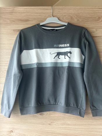 Sweat gris garçon Airness 12 ans
