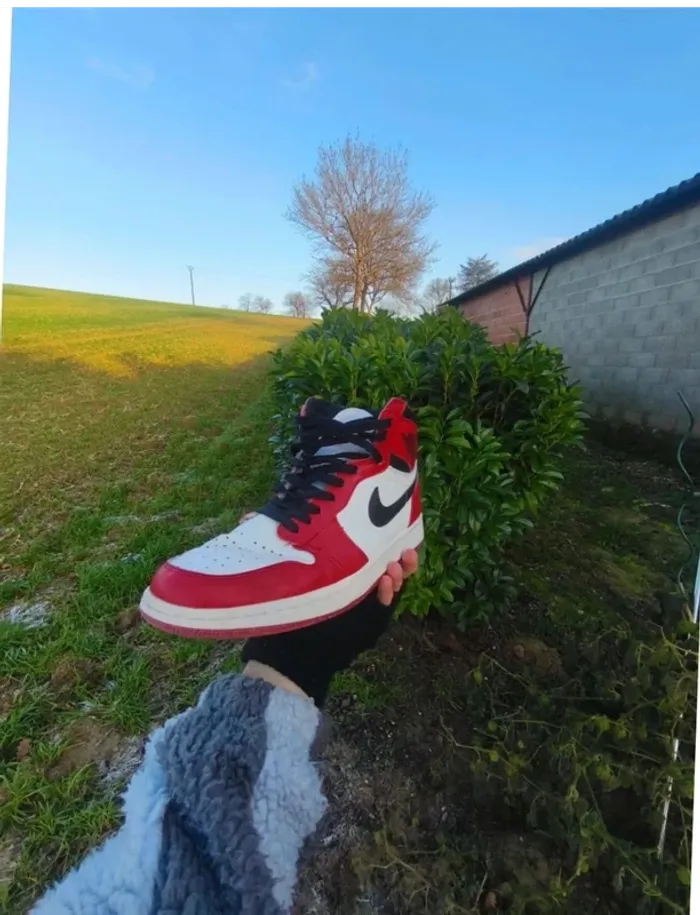 Basket Nike - photo numéro 2