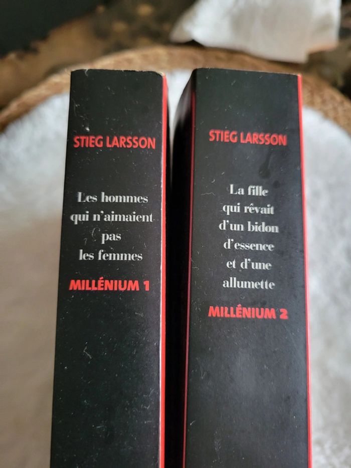 Les hommes qui n aimaient pas les femmes - photo numéro 2