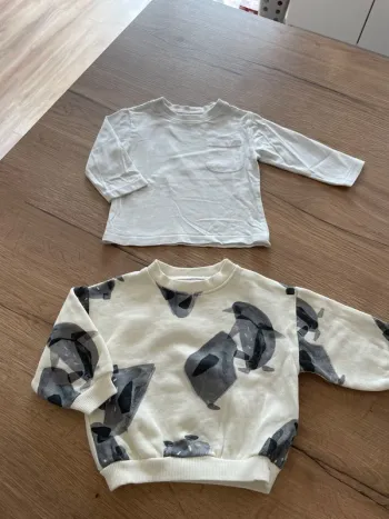 Sweat et tee shirt Zara taille 6/9 mois