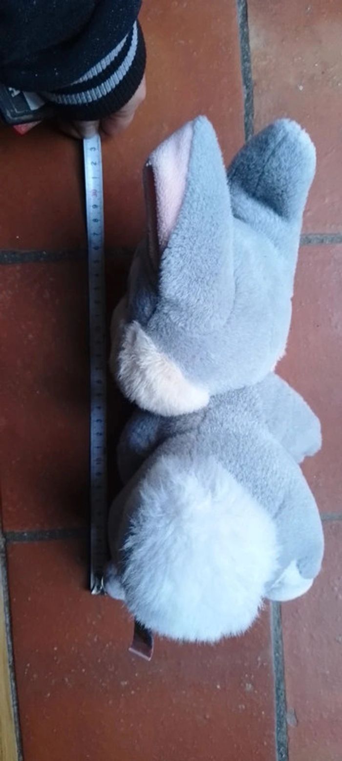 Lapin Pampan Bambi - photo numéro 4