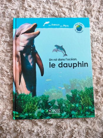 🐬 Un roi dans l'océan : Le dauphin 🐬