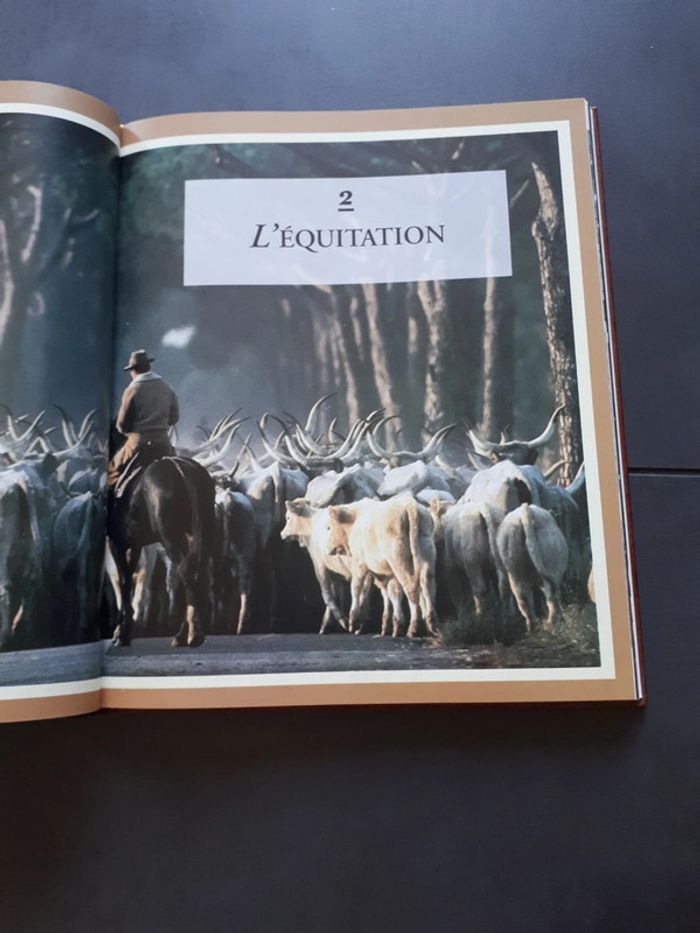 Très beau livre le grand livre des chevaux - photo numéro 9