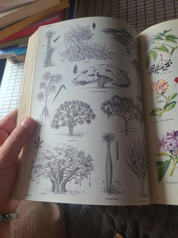 Encyclopedie internationale focus A-c - photo numéro 6