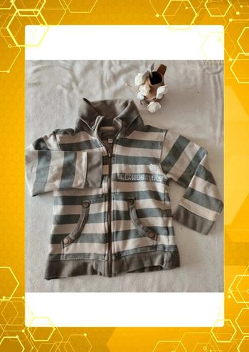 Sweat zippé Dinosaurus Urbanus