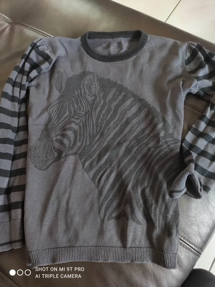 Pull 10 ans in extenso léger zebre