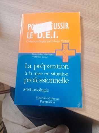La Préparation À La Mise En Situation Professionnelle - Méthodologie Lacour Frédérique (vre