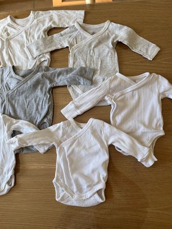 Lot bodies 
