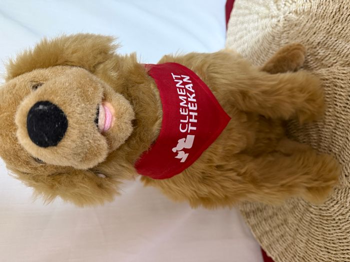 klement tekan golden retriever - chien en peluche - photo numéro 2