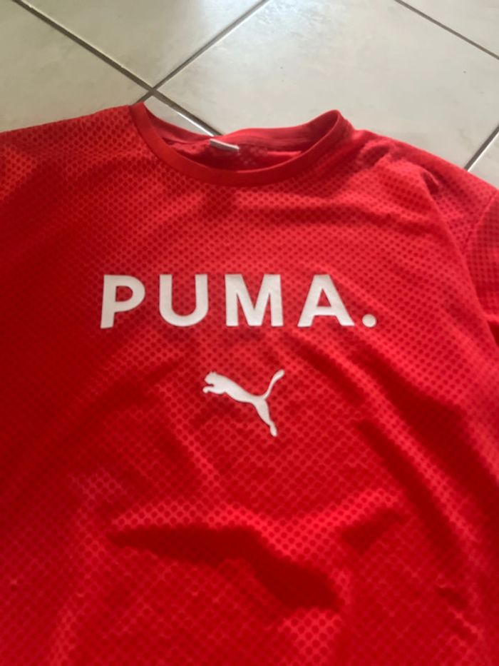 T Shirt - photo numéro 5