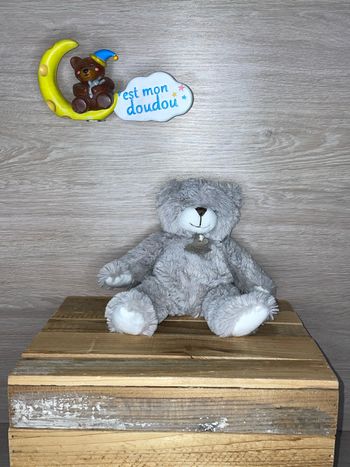 HD112 doudou ours 🐻 histoire d’ours
