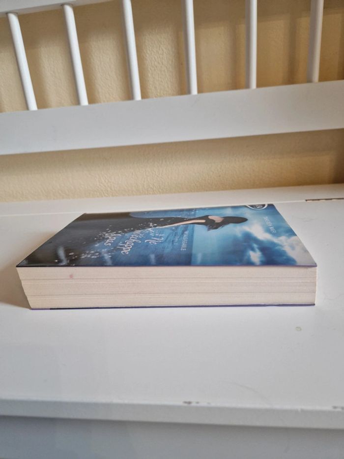 Livre romance - photo numéro 5