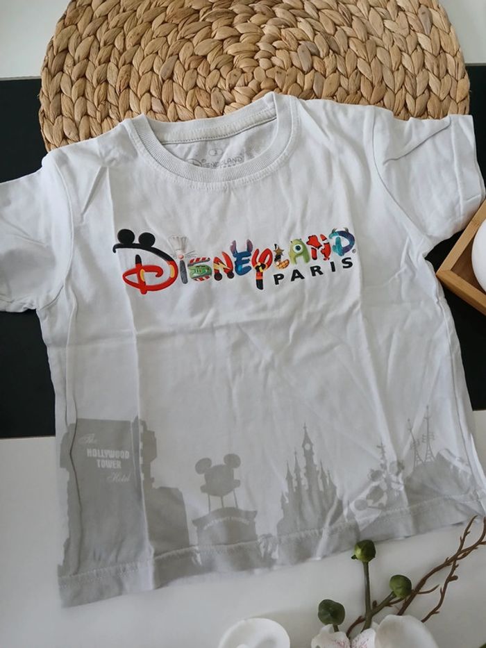 Haut d'été garçon Disneyland Paris Taille 2 ans🌿🦁 - photo numéro 3