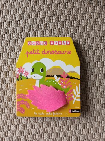 Livre petit dinosaure 