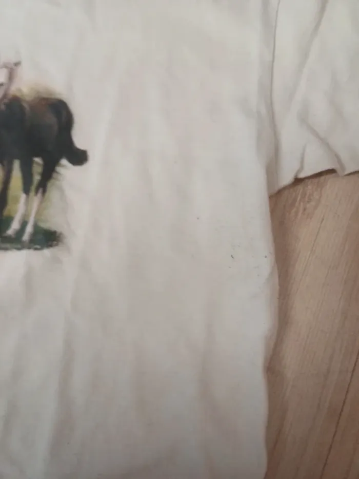 Tee shirt motifs cheval 9/11 ans - photo numéro 4