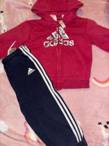 Ensemble