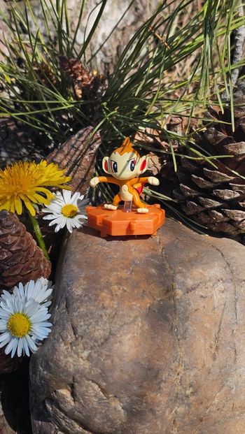 Super petite figurine Pokemon Nintendo Ouisticram