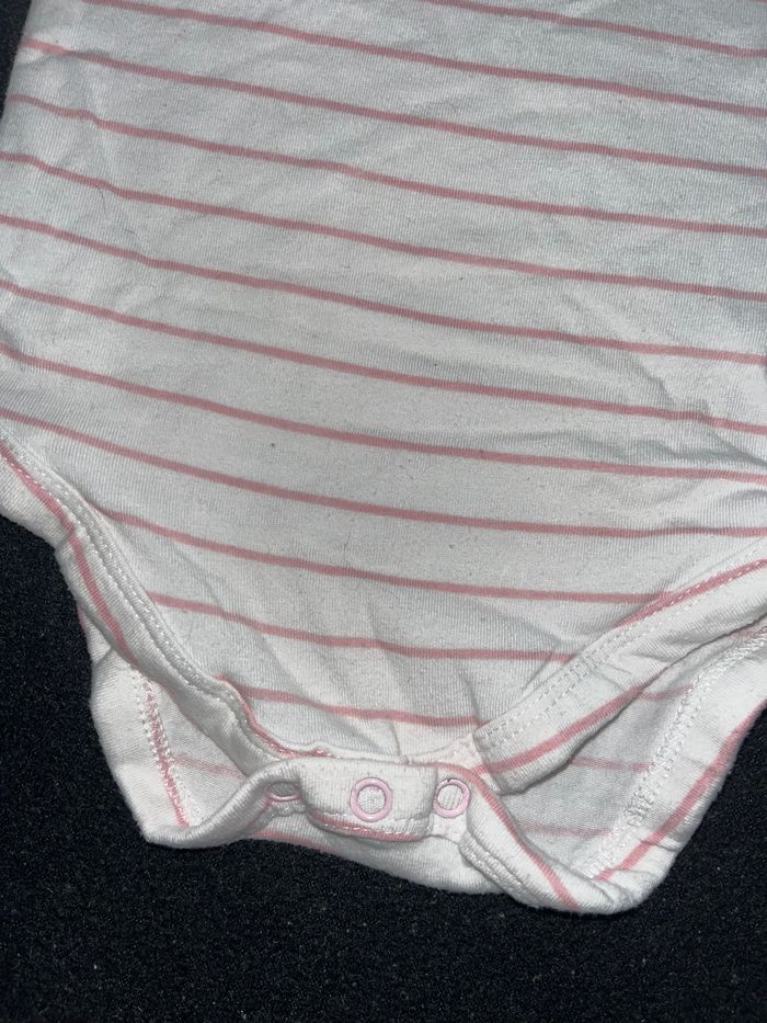 Bodie 12 mois - photo numéro 2