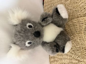Peluche Koala Yindi Zoo Beauval