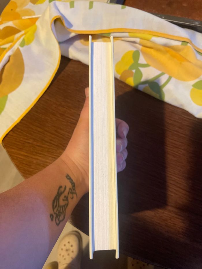 Livre de Patrice romain - photo numéro 4