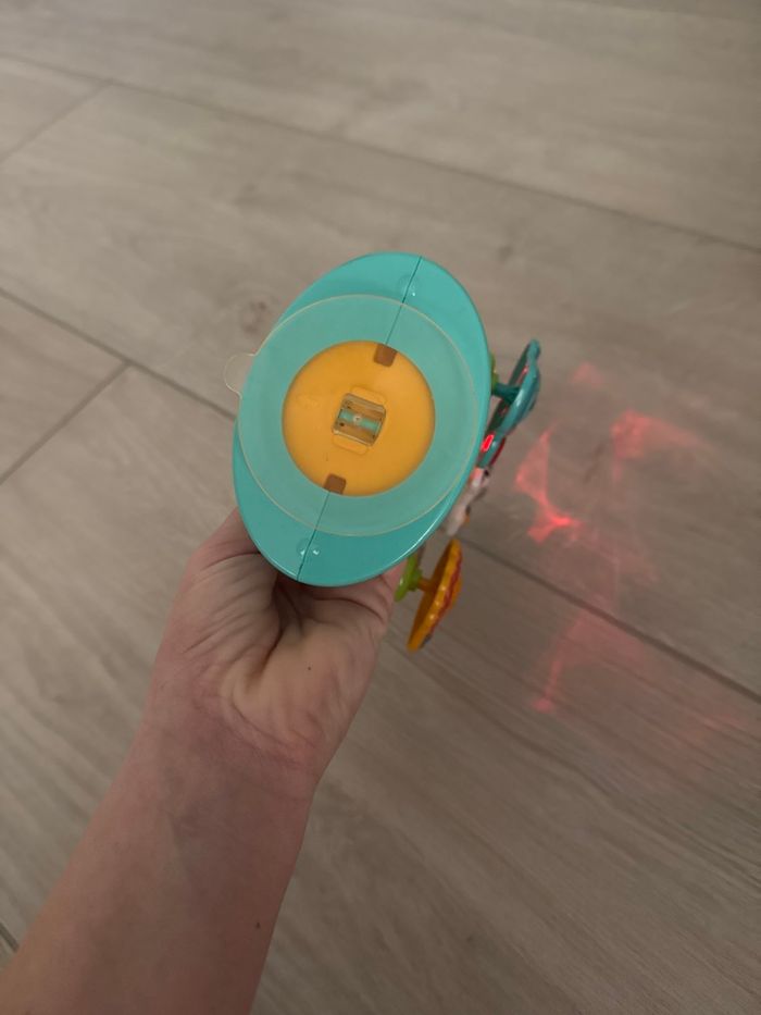 La grande roue des baby loulous - photo numéro 3