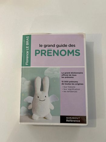 Livre le grand guide des prénoms