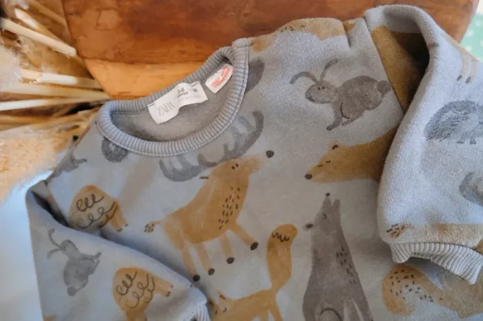 Sweat à motif - Zara - photo numéro 2