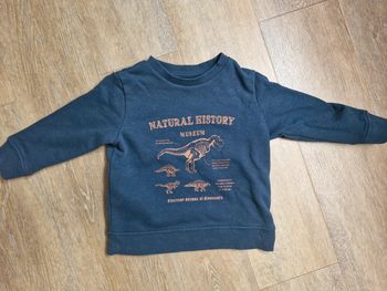 Pull dinosaure vert Vertbaudet 2 ans