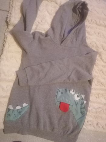 Pull sweat-shirt à capuche 🦖 garçon 12 ans