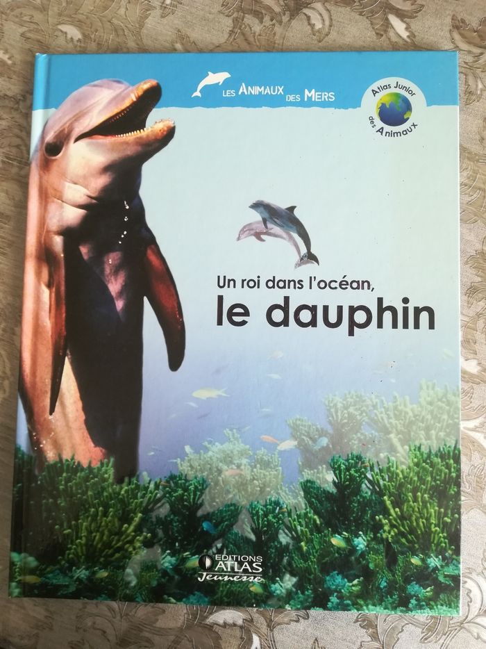 Un roi dans l'océan, le dauphin