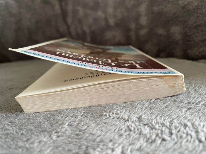 Livre dont vous êtes le héros le château des ténèbres - photo numéro 13