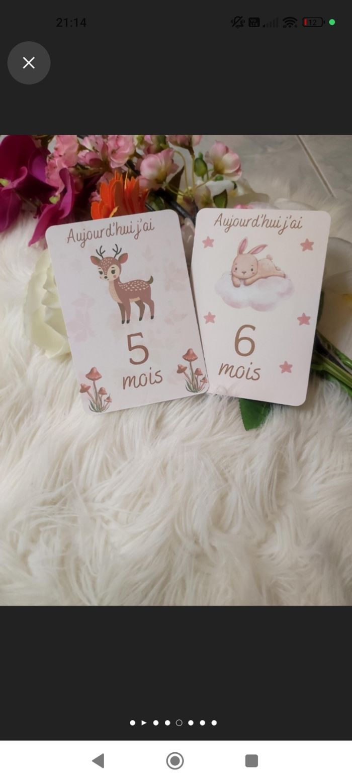 Carte étape bébé - photo numéro 4