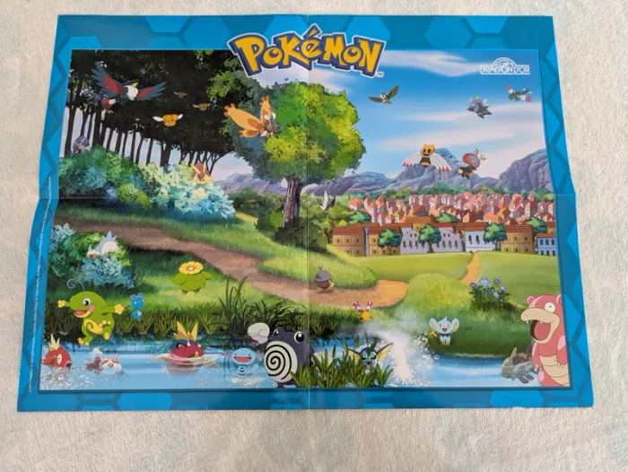 Livres de jeux Pokémon - photo numéro 12