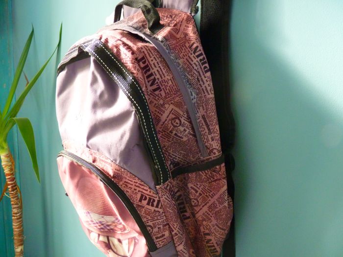 Sac à dos ecole Fille Chien Téo Jasmin fourniture scolaire TBE - photo numéro 2